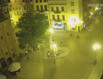 Kamera internetowa Toruń - Pomnik Mikołaja Kopernika